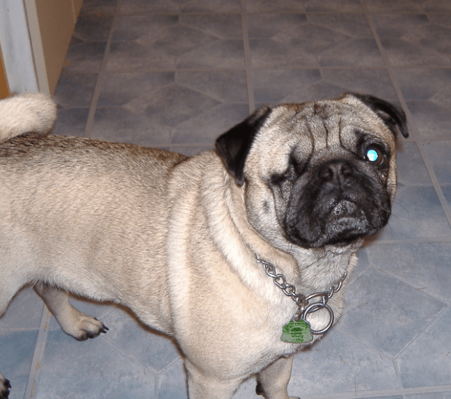 We expire September 8th 2024. What will happen with the&nbsp;Blog?