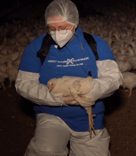 It’s Trespassing case. Not an animal rescue&nbsp;case.