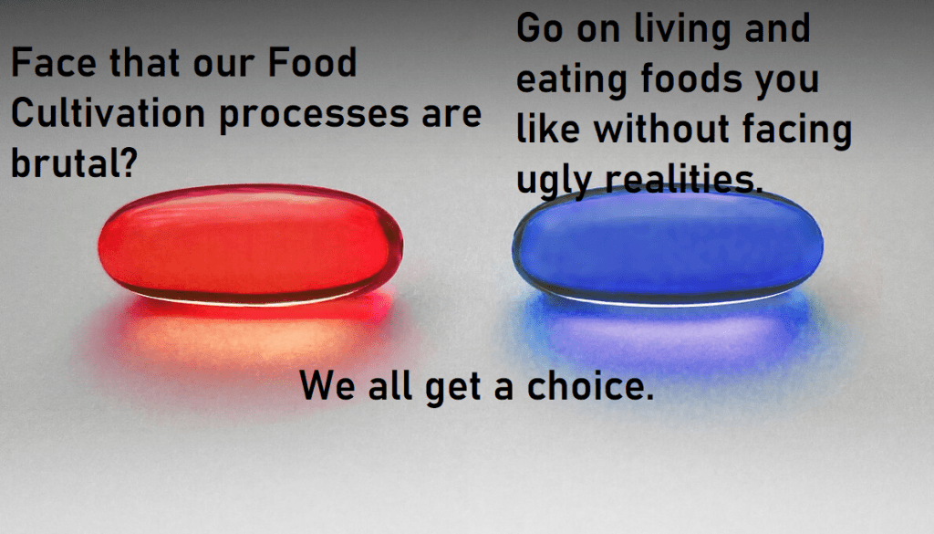 Lesson 1 The actual Question a Vegan asks themselves. What choice do you&nbsp;make?