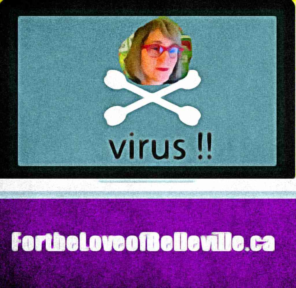 Chapter 3. That Vegan Teacher was a Poison infecting my personality and the&nbsp;website.